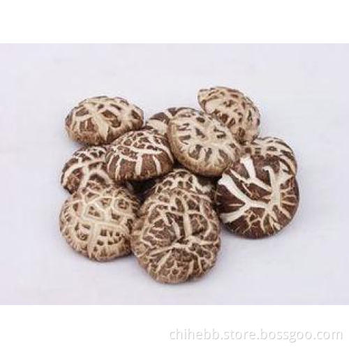 Natural Organic Bulk Edible Dried Shiitake Mushroom For Foo